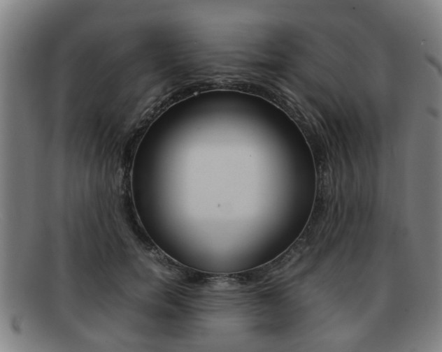 X0000092060750200709121005