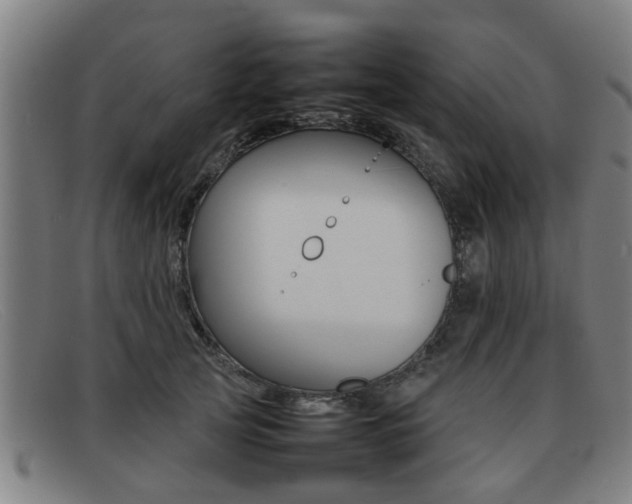 X0000092060753200709121005