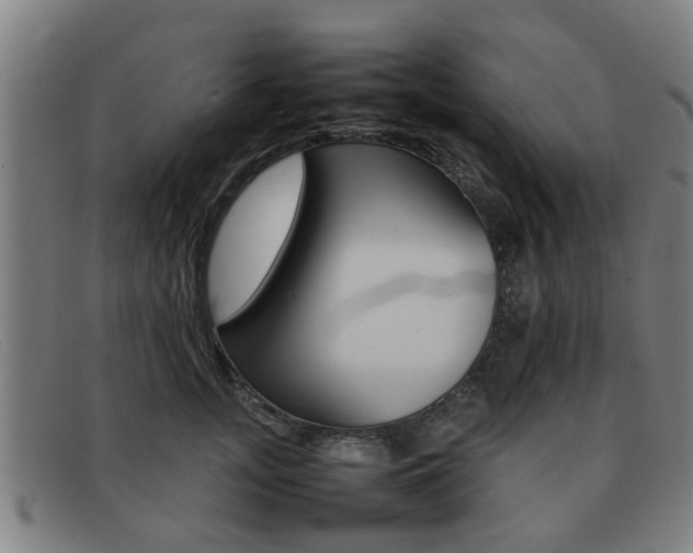 X0000092060755200709121005