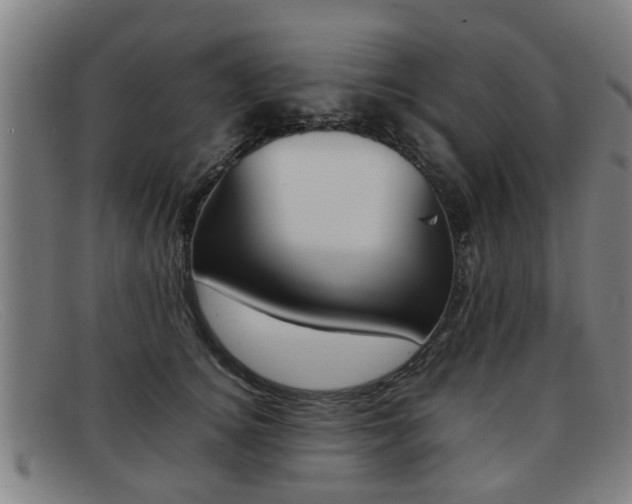 X0000092060756200709121005