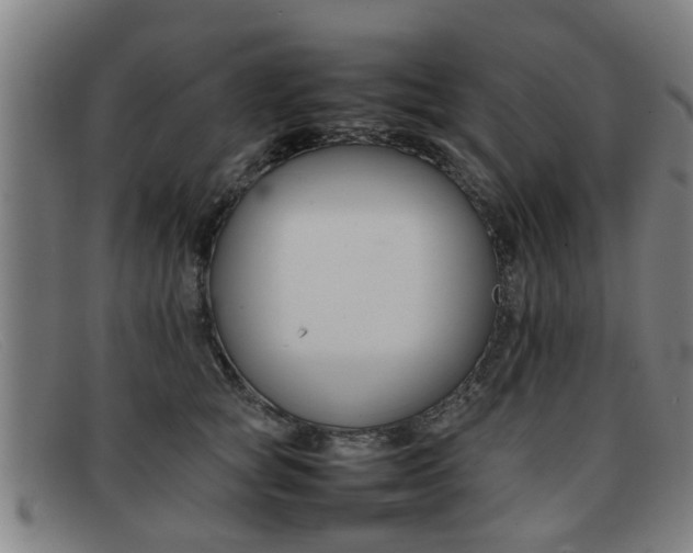 X0000092060757200709121005