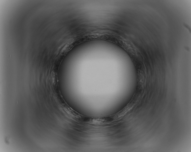 X0000092060758200709121005