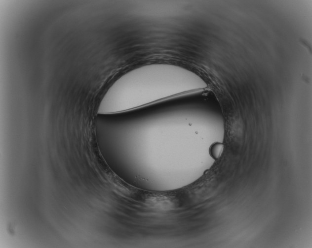 X0000092060759200709121005