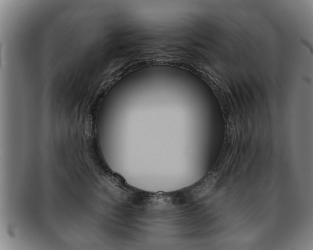 X0000092060760200709121005