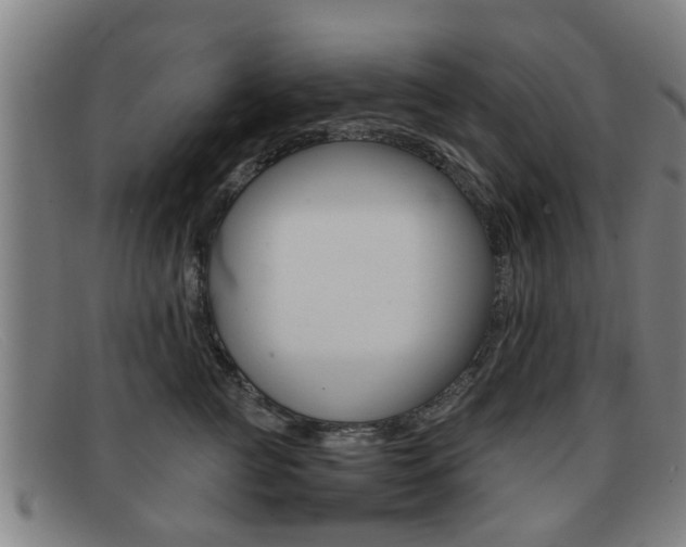 X0000092060761200709121005