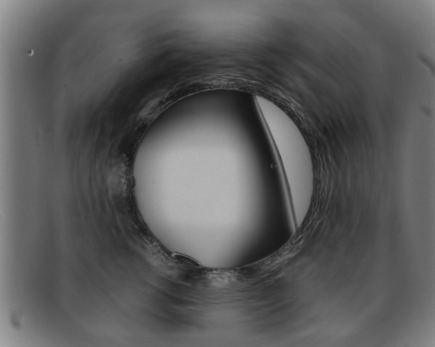 X0000092060762200709121005