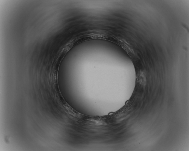 X0000092060763200709121005
