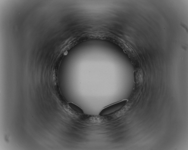X0000092060764200709121005