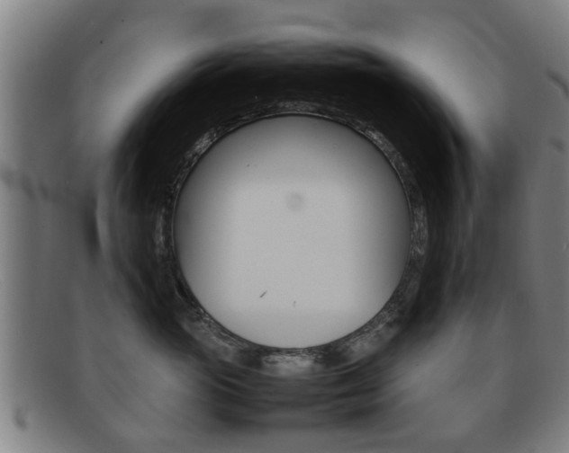 X0000092060765200709121005