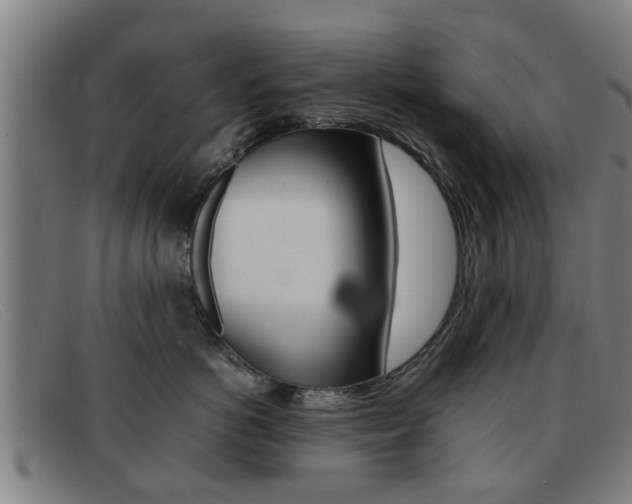 X0000092060766200709121005