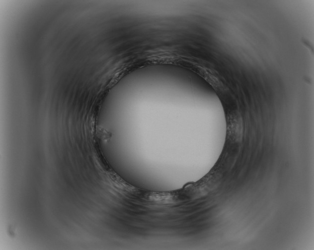 X0000092060767200709121005