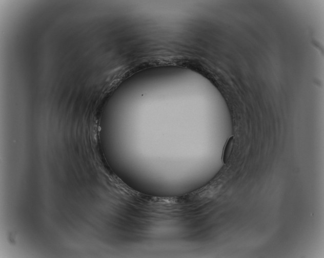 X0000092060768200709121005