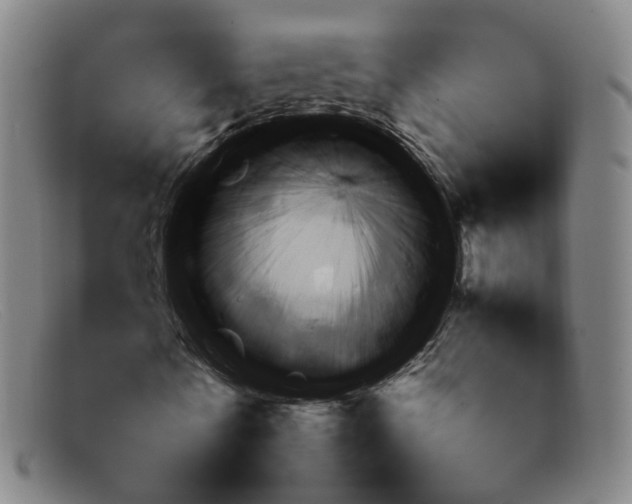 X0000092060770200709121004