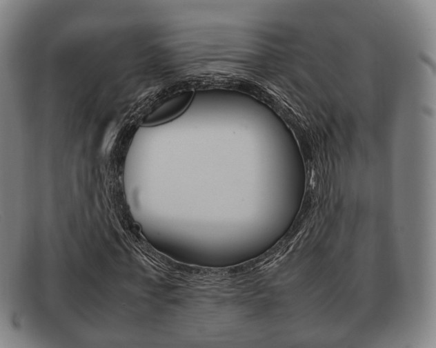 X0000092060771200709121004