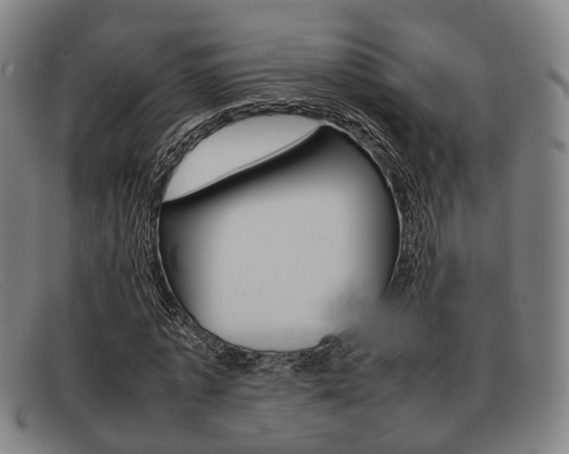 X0000092060773200709121004