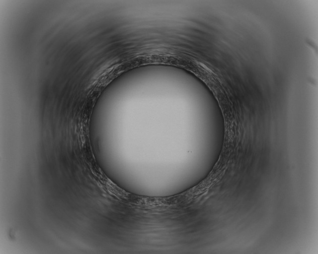 X0000092060774200709121004