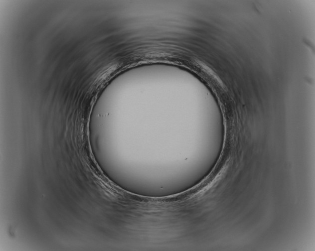 X0000092060777200709121004
