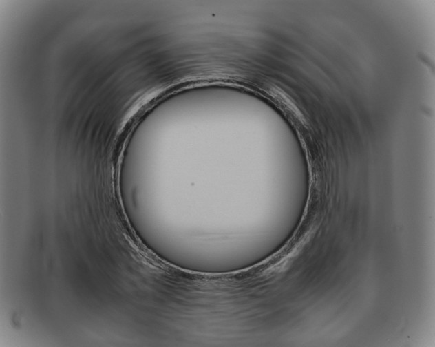 X0000092060781200709121004