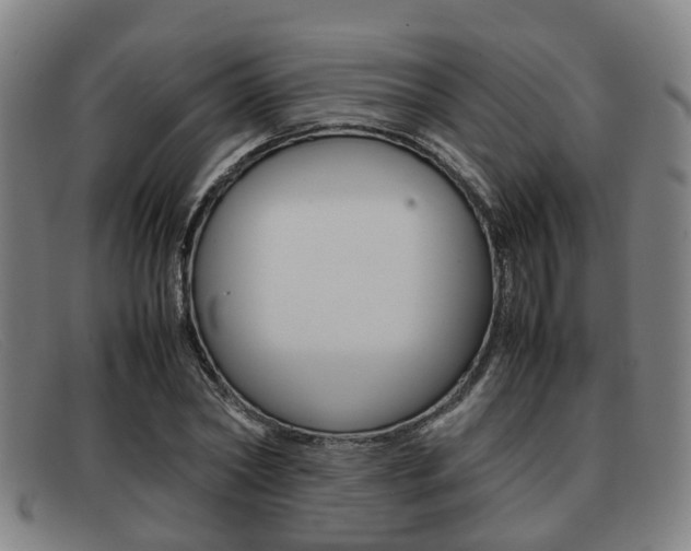 X0000092060782200709121004
