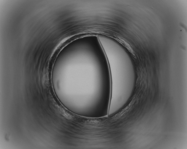 X0000092060784200709121004