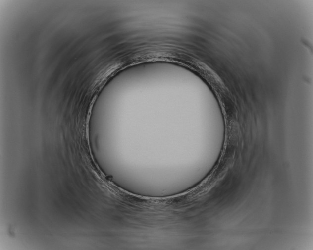 X0000092060785200709121004