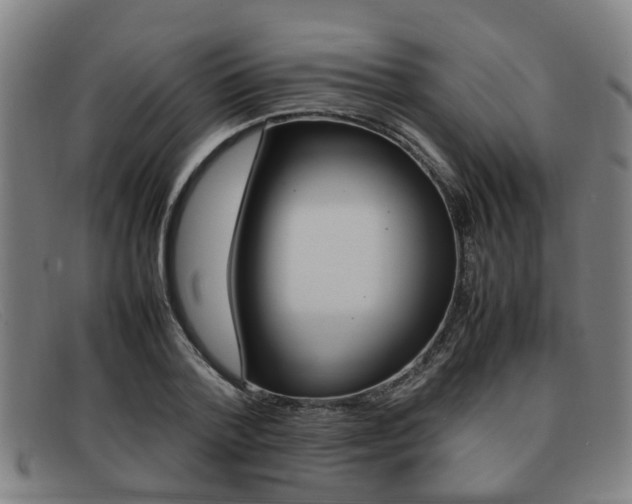 X0000092060788200709121004