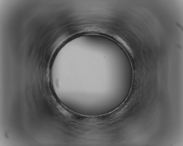 X0000092060791200709121004