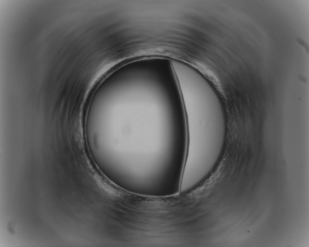X0000092060792200709121004