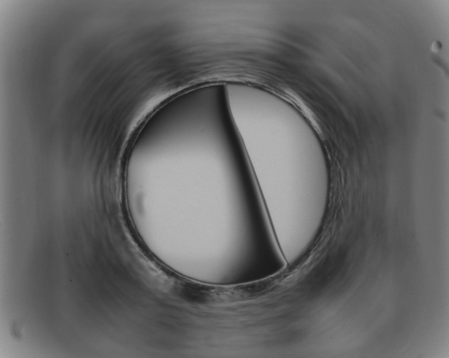 X0000092060795200709121004