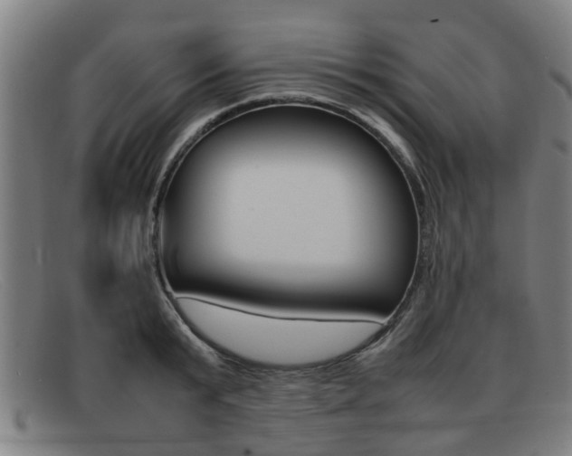 X0000092060799200709121004