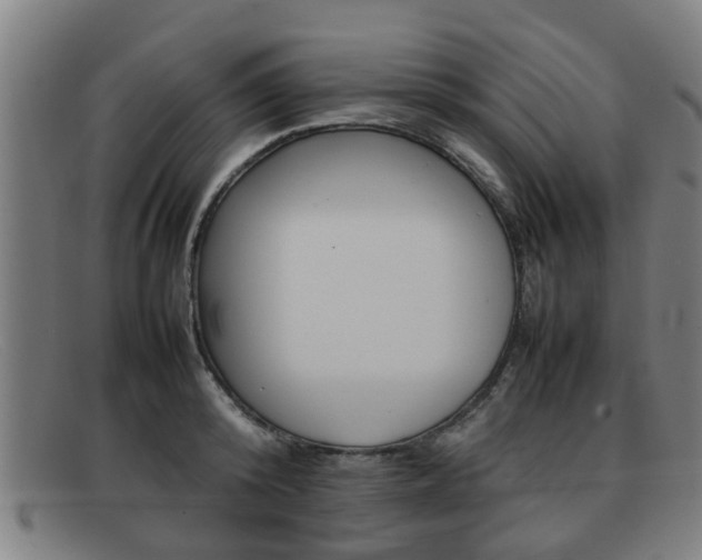 X0000092060800200709121004