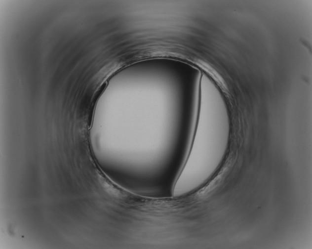 X0000092060801200709121004