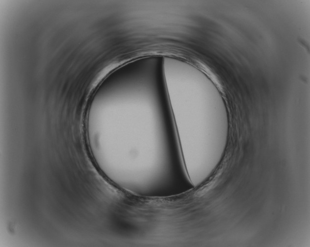 X0000092060803200709121004