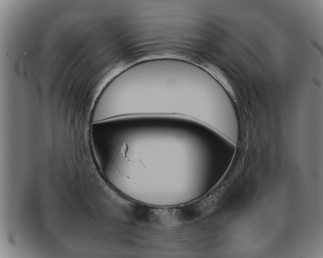 X0000092060805200709121004