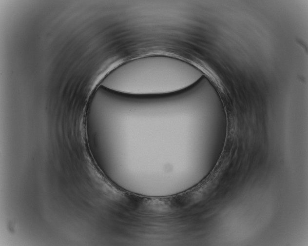 X0000092060806200709121004
