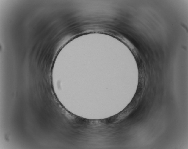 X0000092060807200709121004