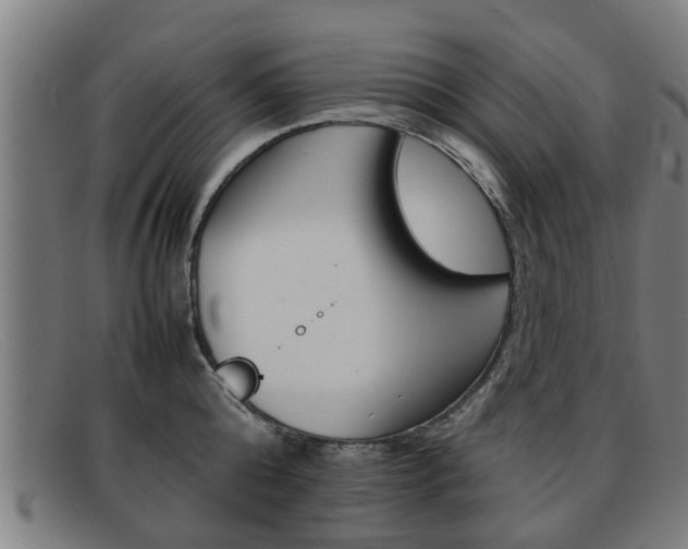 X0000092060808200709121004