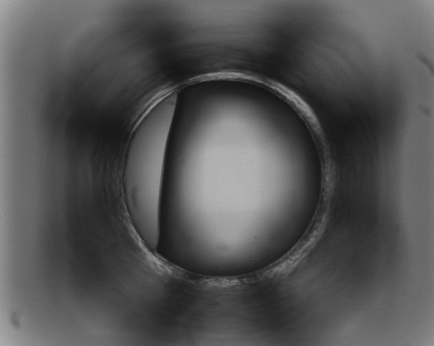 X0000092060809200709121004