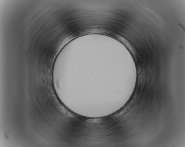 X0000092060810200709121004