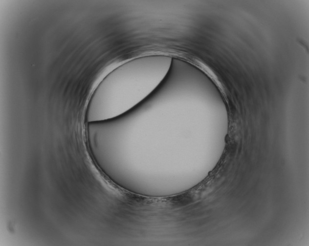 X0000092060811200709121004