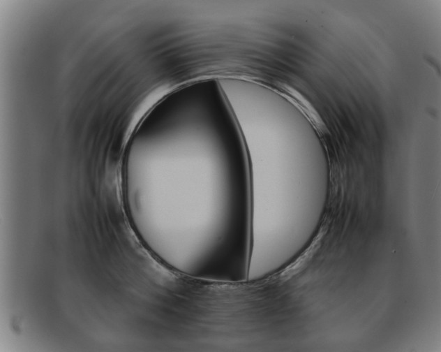 X0000092060812200709121004