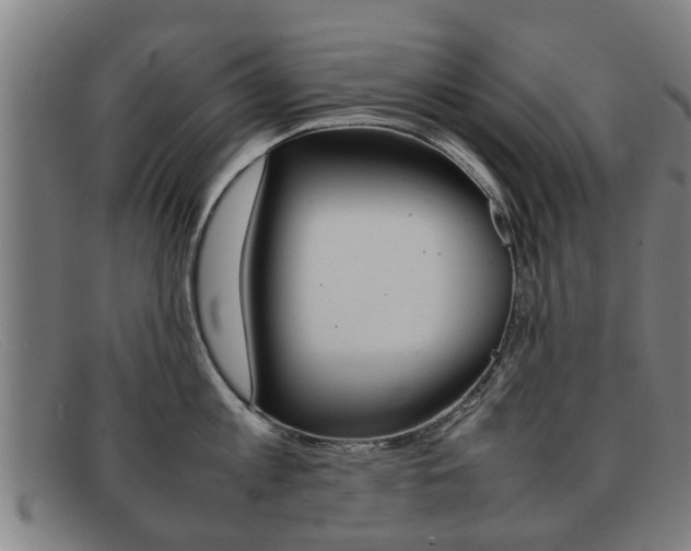 X0000092060813200709121004