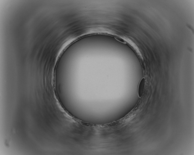 X0000092060815200709121004