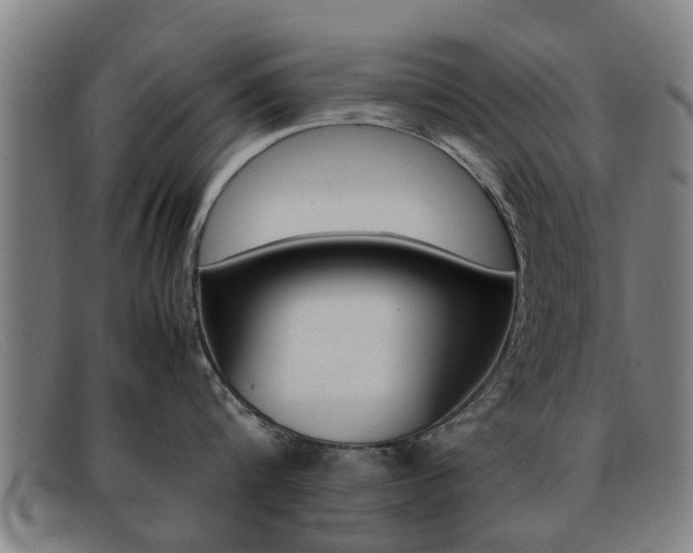 X0000092060816200709121004