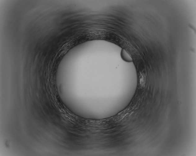 X0000092060819200709121003