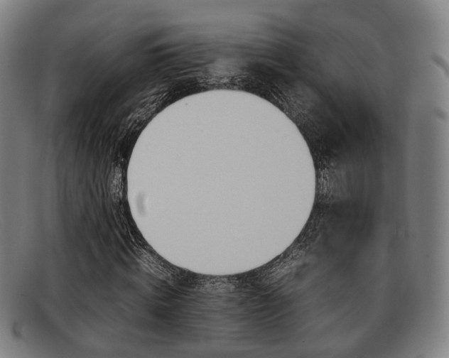 X0000092060820200709121003