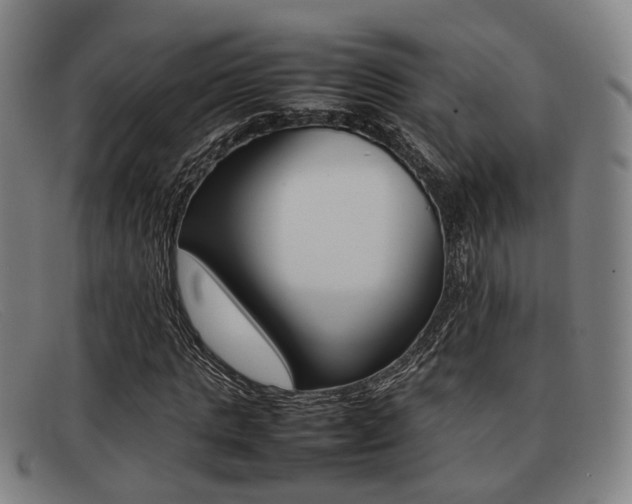 X0000092060821200709121003