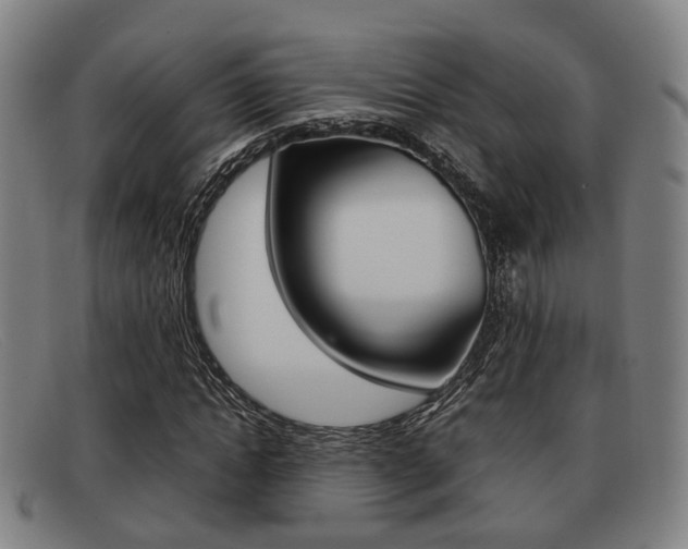 X0000092060822200709121003