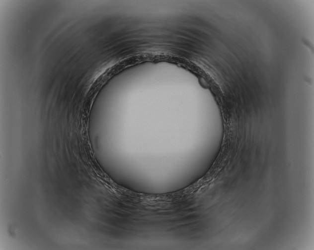X0000092060823200709121003