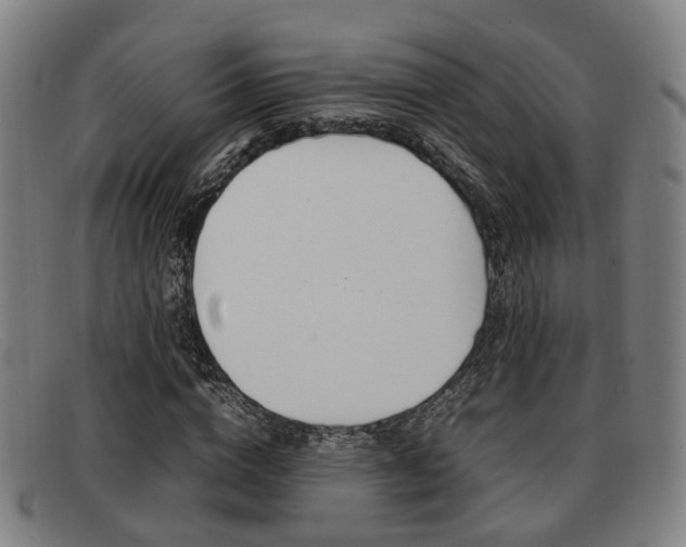X0000092060824200709121003
